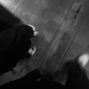 美女警花被虐杀
