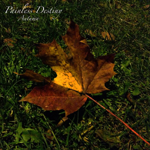 美女警花被虐杀
